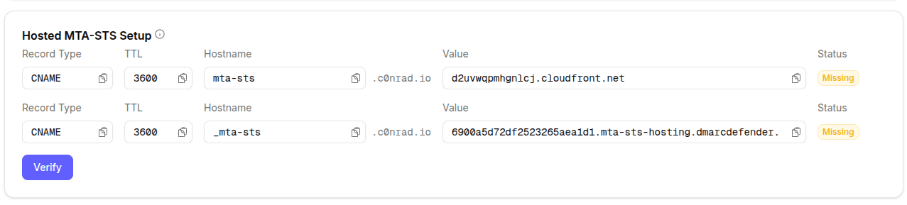 DNS setup instructions